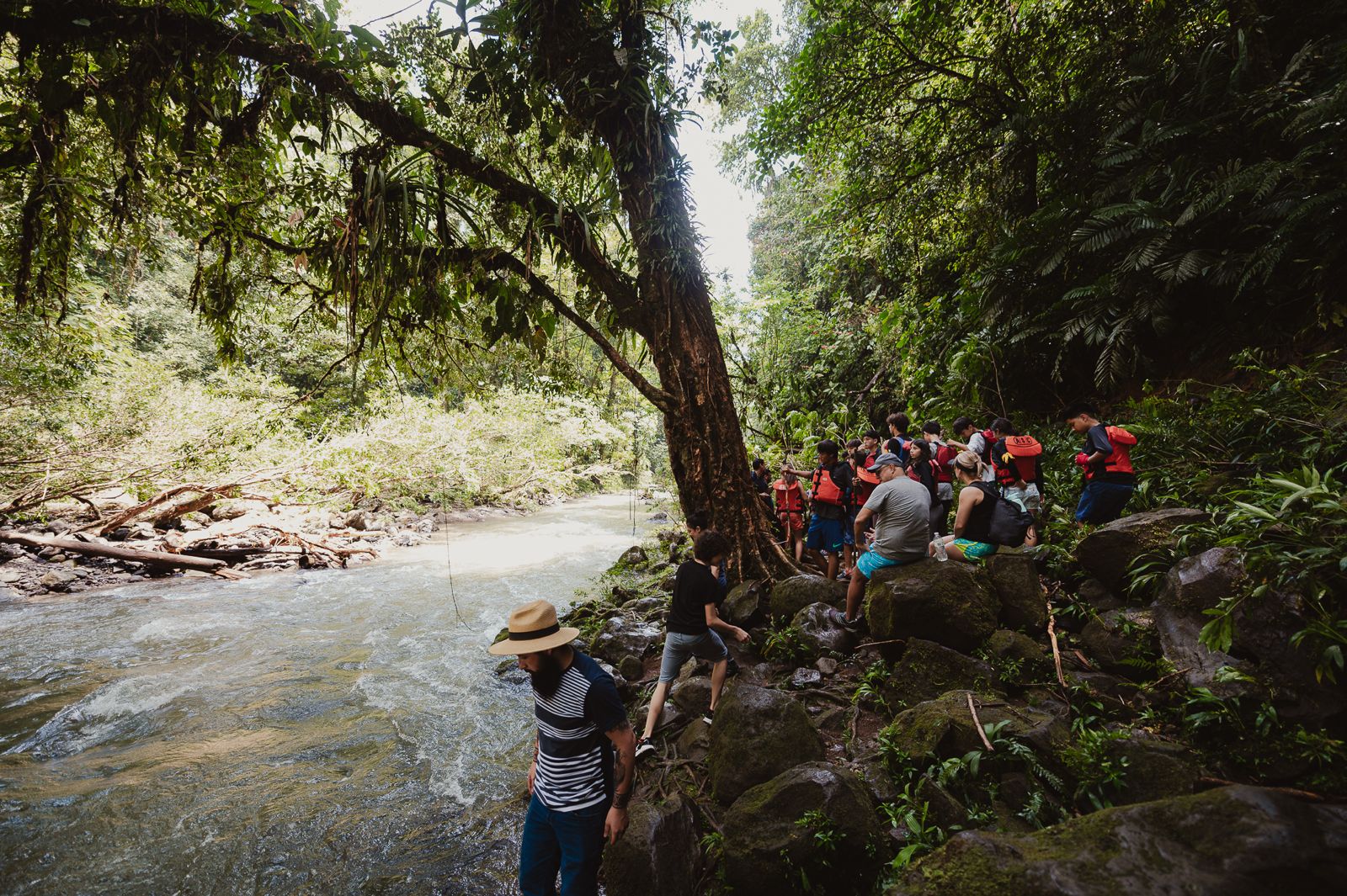 Nature learning