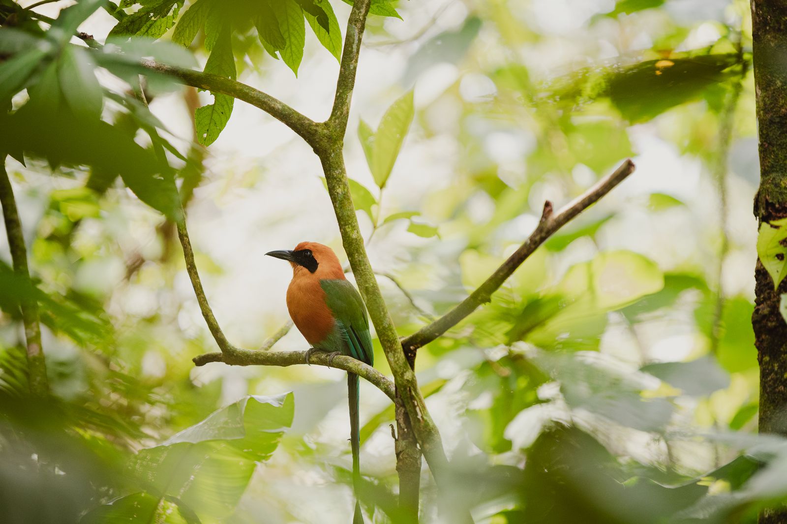 Costa Rica biodiversity